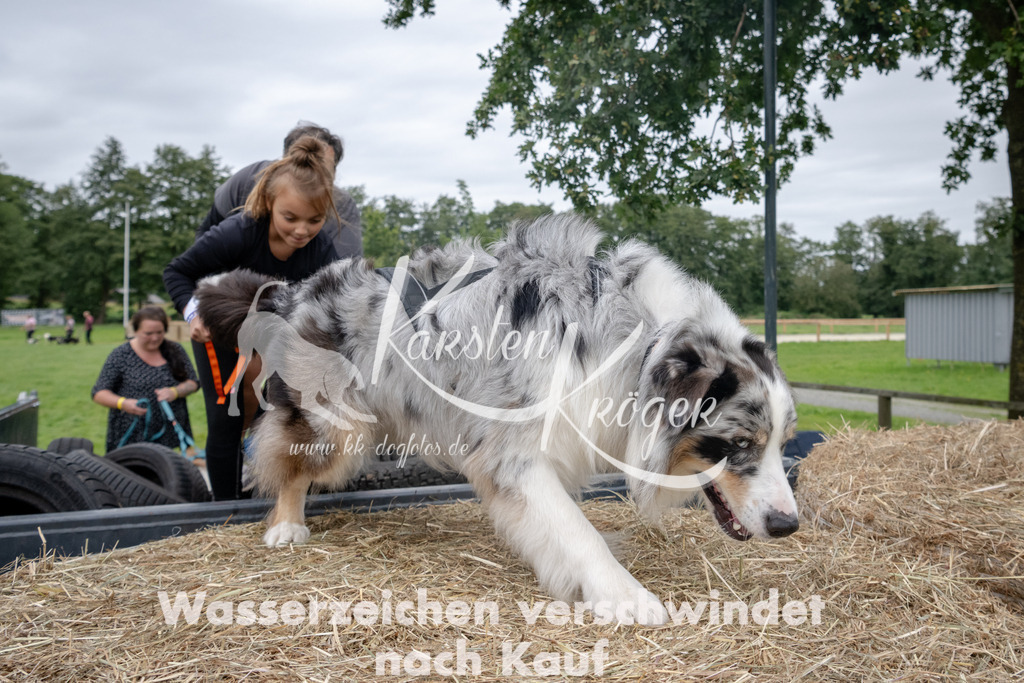 1300_ZZ92960 | kk-dogfotos