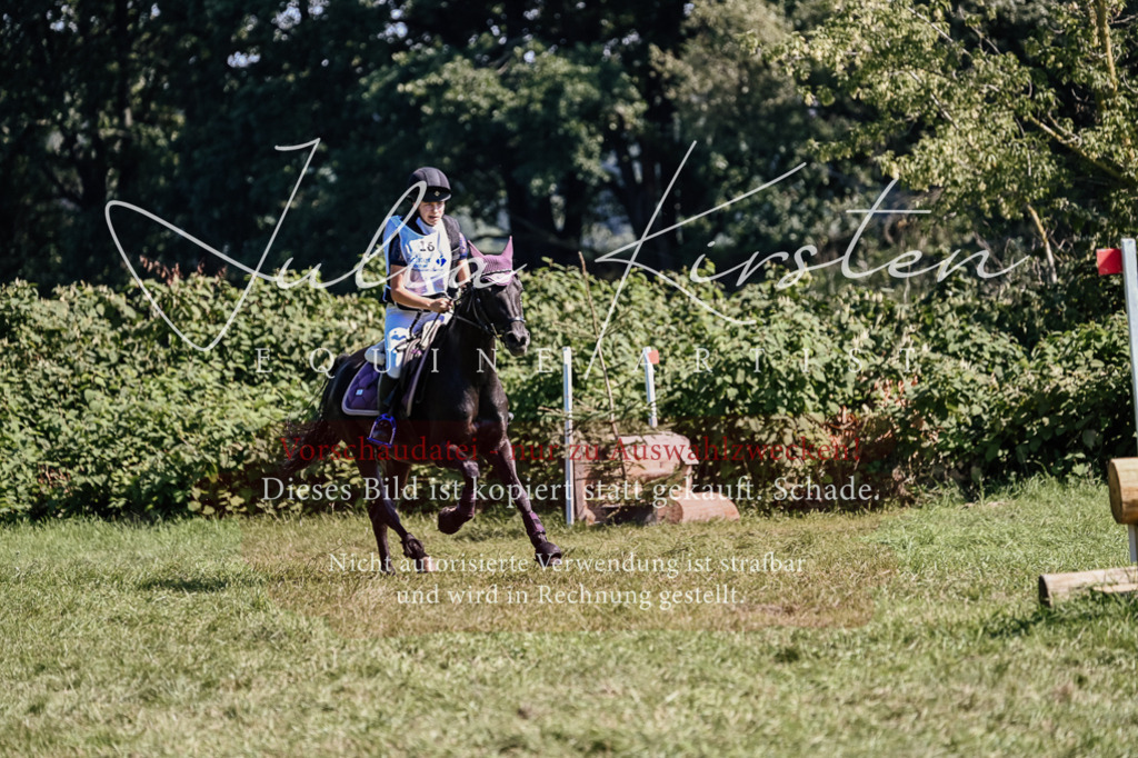DSC_1952 | Pferde- und Turnierfotografie in Westsachsen. Pferdeportraits, Auftragszeichnungen und intuitive Kunst.