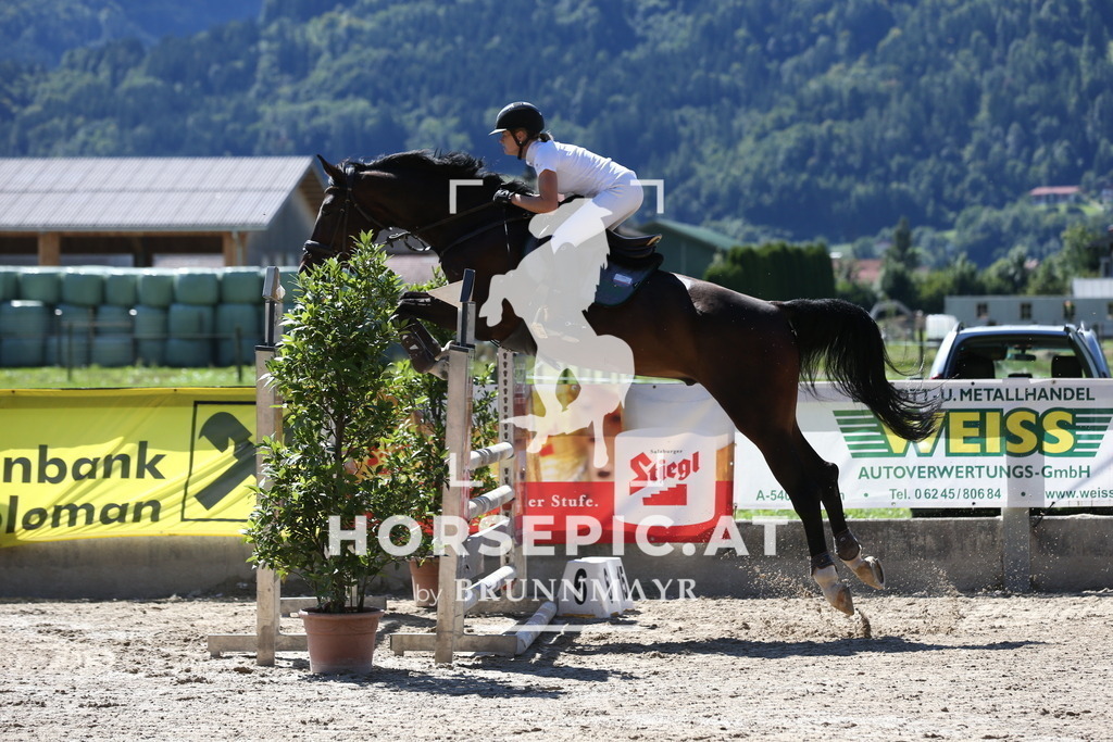 DL2Q0640 | Willkommen bei Brunnmayr - Design & Fotografie – Ihrem Spezialisten für Reitturniere und Pferdeveranstaltungen in Oberösterreich, Salzburg und Bayern! Seit über 17 Jahren sind wir leidenschaftlich dabei.