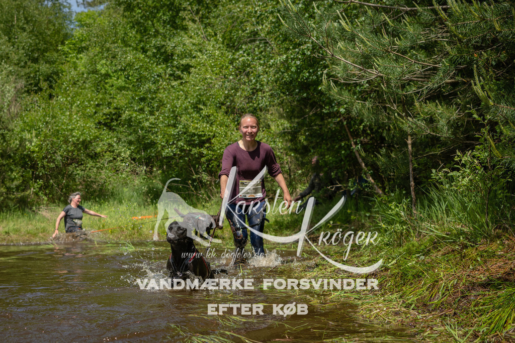 1257DKK993782 | kk-dogfotos