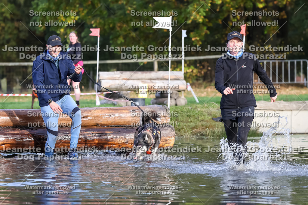 Dog Paparazzi - Strongdog 10-25-7040 | Dog Paparazzi Jeanette Grottendiek Fotografie & Videografie - Realisiert mit Pictrs.com