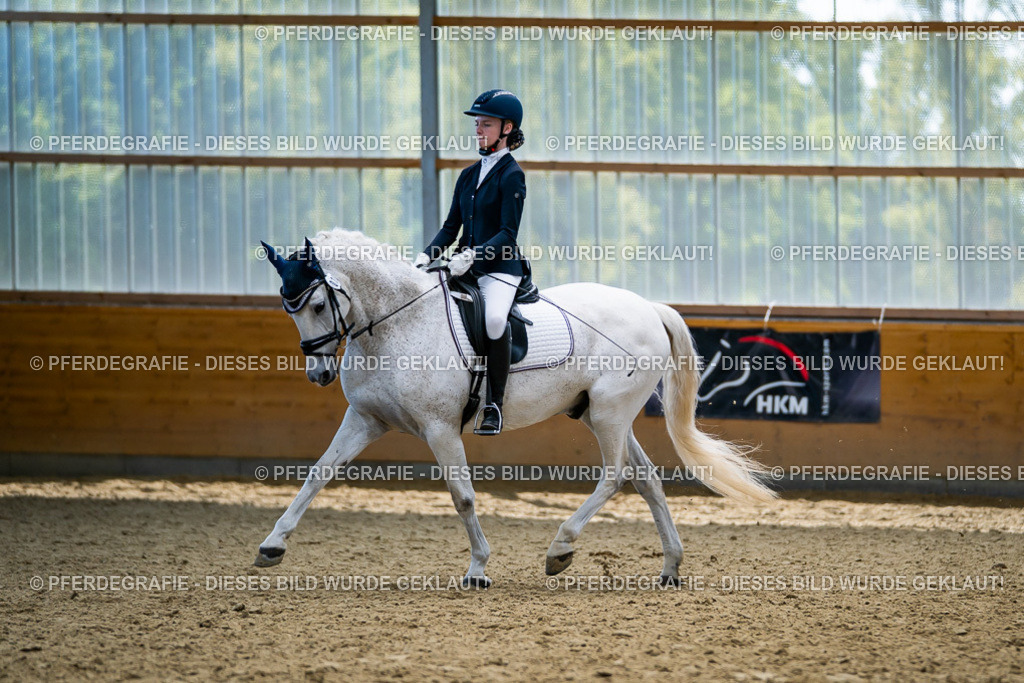 DSC05512 | Pferdegrafie