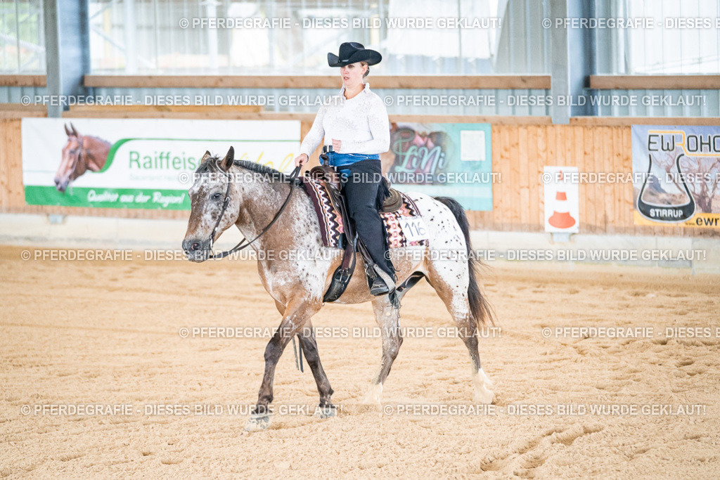 DSC01804 | Pferdegrafie