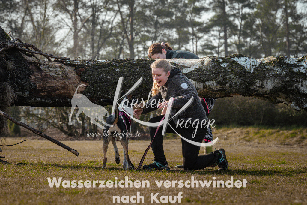 0943_ZZ99757 | kk-dogfotos