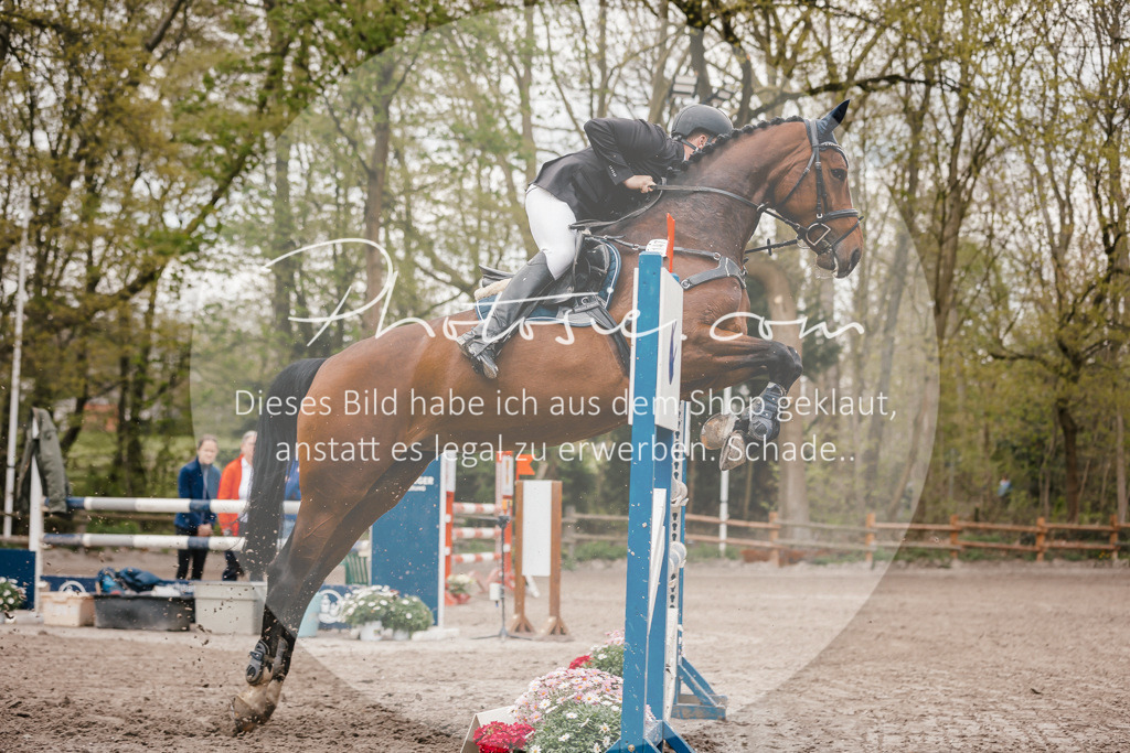 3I6A4380 | Stimmungsvolle Portraits und Reitsportfotografie im Ruhrgebiet und im Münsterland.

Pferdefotografie, Hundefotografie, Tierfotografie, Reportagen, Portraits von Tier und Mensch, Turnierfotografie in Bochum, Recklinghausen, Marl, Haltern am See, Dülmen.. - Realisiert mit Pictrs.com