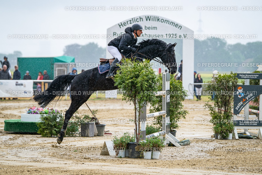 DSC04391 | Pferdegrafie