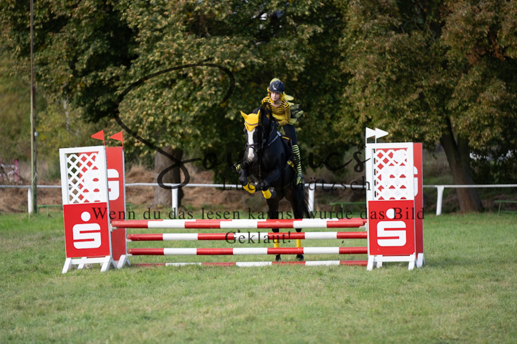 A7V06516 | Pferdefotograf