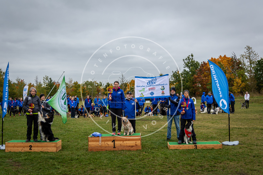 Pfotenfotografie_0L8A0555 | Hundefotografie, Tierfotograf, Pfotenfotografie, Fotoshooting Hund, Hunde Portrait, Hundesport, Hundeportraits, Heideshooting, Hunde, Sportfotograf, Hundefotograf, Turnierhundsport, THS,  - Realisiert mit Pictrs.com