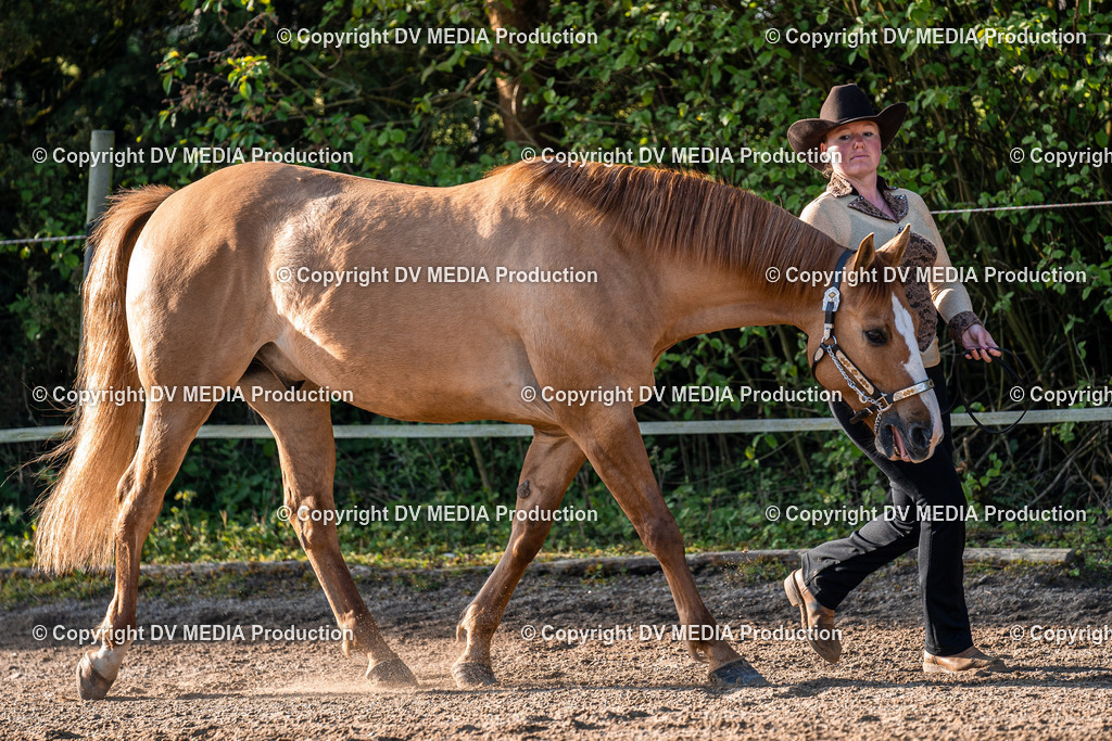 Balingen Tag 4-51 | dv-media-shop - Realisiert mit Pictrs.com