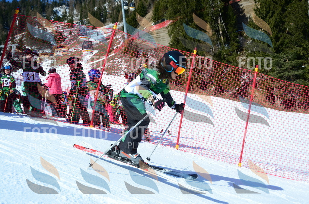 C5431 | holidayphoto