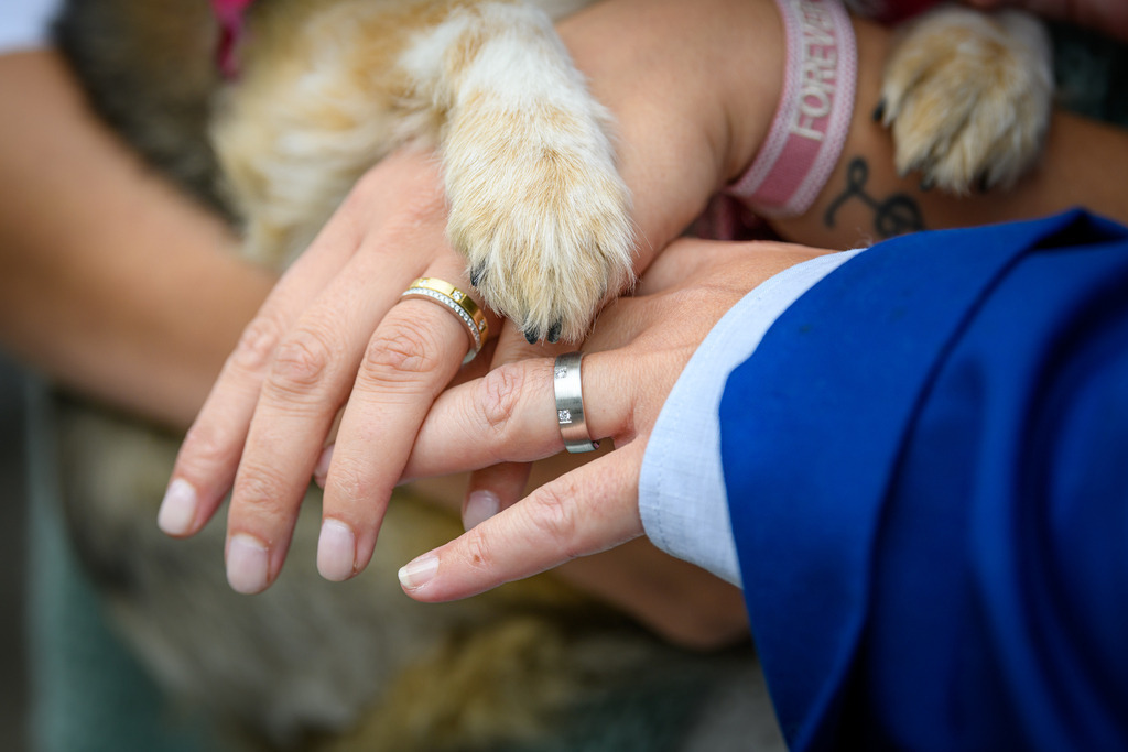 foto.9ers.at-104-_H995447 | Hochzeit, Portraits, Headshots, Food- und Immobilienfotografie in Tirol. 360°, Drohne und mehr. Kontaktieren Sie mich einfach via Mail per foto@9ers.at - Realisiert mit Pictrs.com