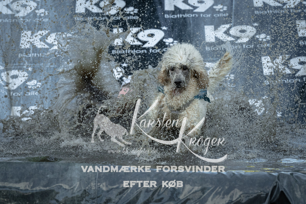 1601_ZZ91897 | kk-dogfotos