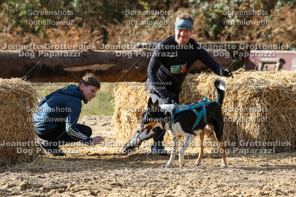 Dog Paparazzi - Strongdog 10-25-5451 | Dog Paparazzi Jeanette Grottendiek Fotografie & Videografie - Realisiert mit Pictrs.com