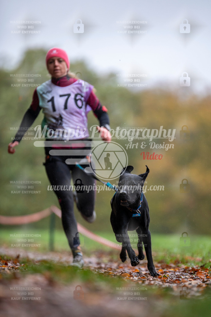 DBT_DAKM_SA_4_11_2023_Canicross-66 | PayLife