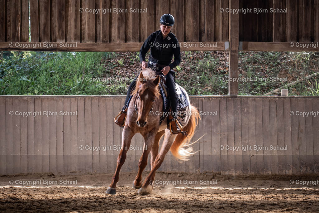 AQB08600 | BS-foto