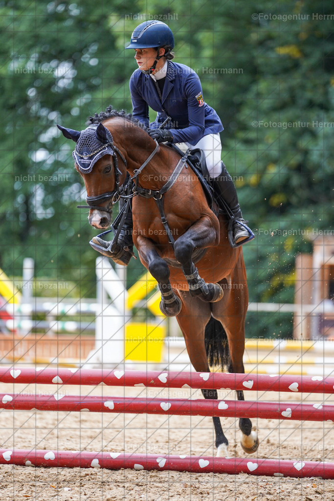 20231008-SN_01556 | Diessen am Ammersee, 2023, Dressur- und Springturnier, Reitsport, Turnierfotografie, Pferdebilder, Reitbilder, Turnierfotografen Bayern, Fotoagentur Herrmann