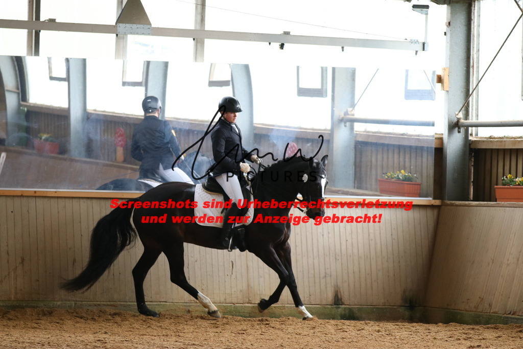 IMG_0239 | lmwpictures - Realisiert mit Pictrs.com