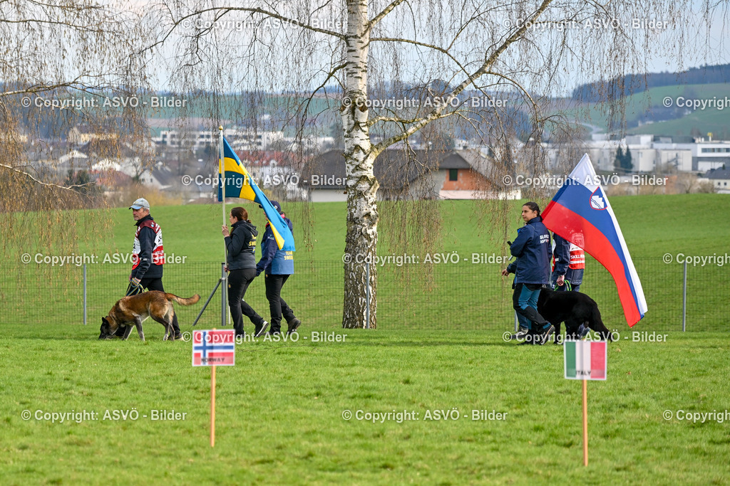 ASVÖ_ Tracking Dog World Championship 2025_ 05.04.2025-131 | bilder.asvo-sport - Realisiert mit Pictrs.com