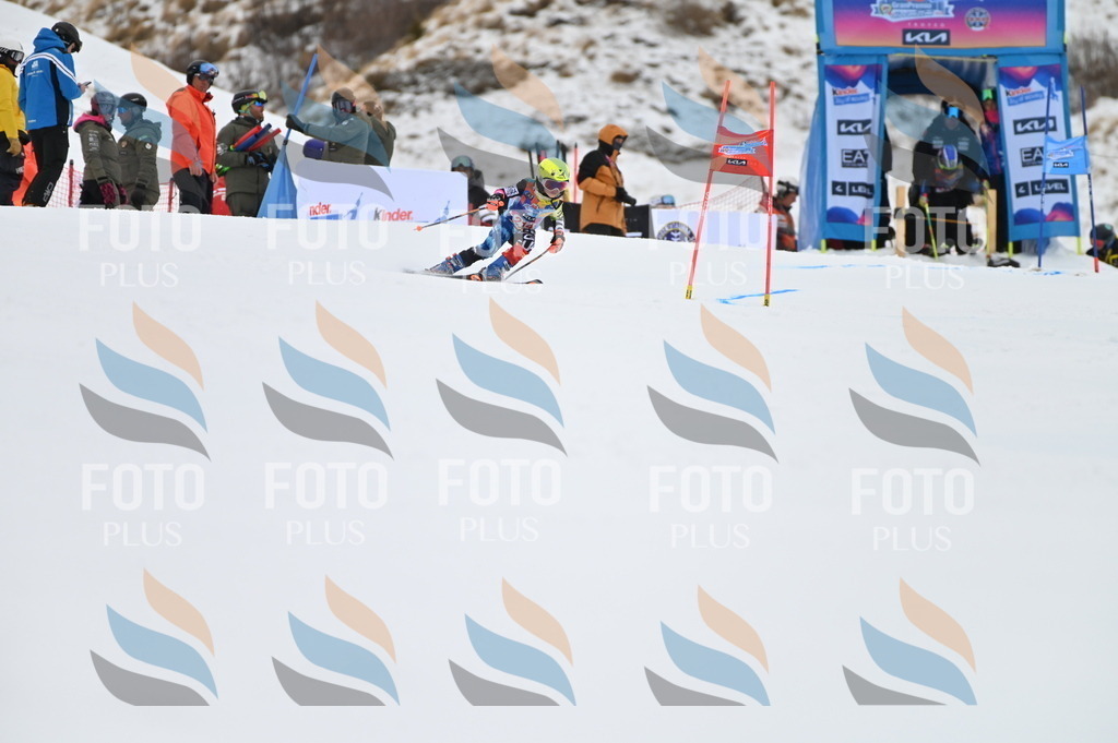 BGV_2631 | holidayphoto