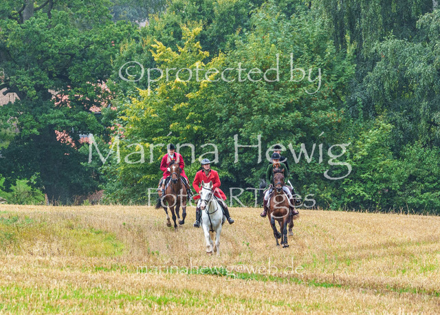 Jagd Kletkamp 26-02840_MarinaHewig | Fotografie, FotoArt, PferdesportArt, Pferdesportfotografie, Landschaftsfotografie, Reisefotografie, Reise, Pferde - Realisiert mit Pictrs.com