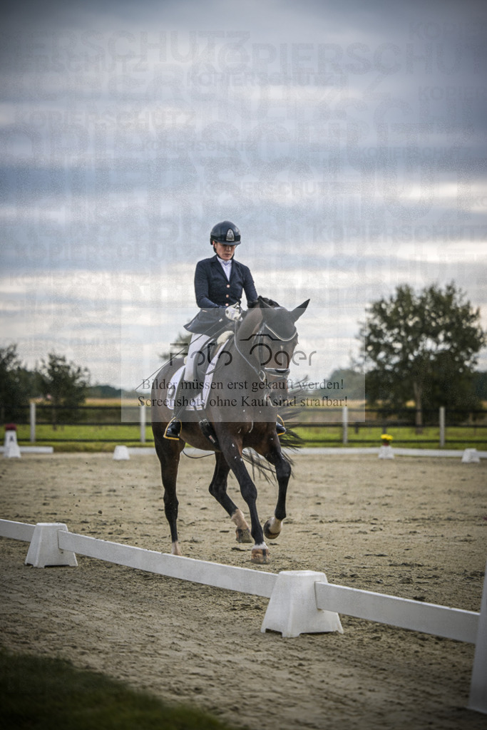DOS_1520 | Entdecke hochwertige Reitturnierfotos von Foto Oger. Professionell, emotional und authentisch – jetzt Lieblingsmomente im Shop bestellen.Deutschlandweite Turnierfotografie. - Realisiert mit Pictrs.com