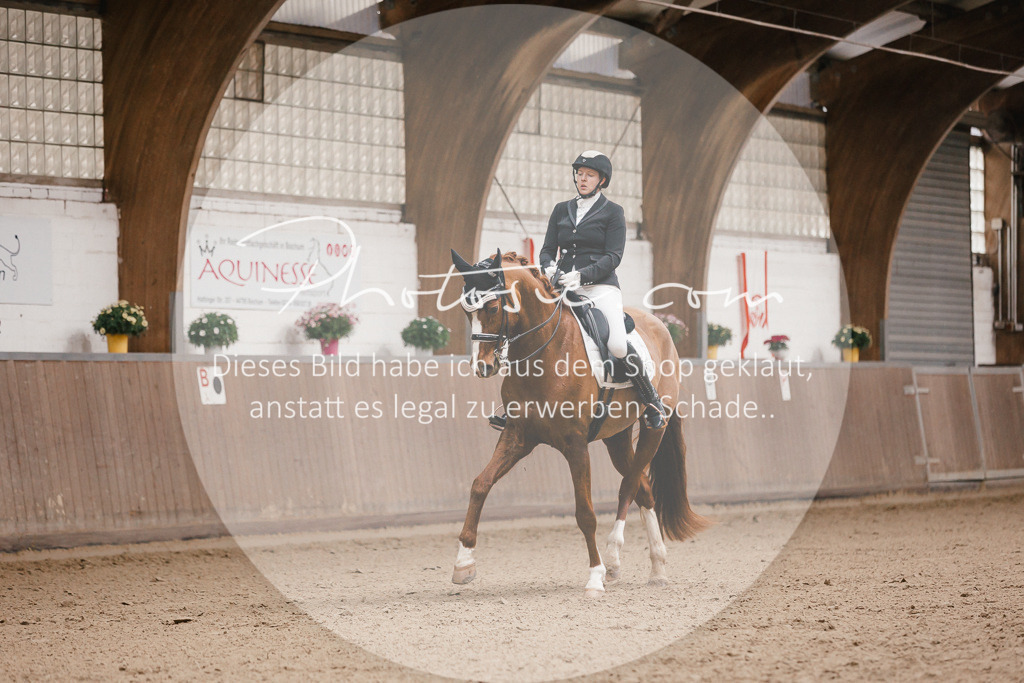 3I6A8922 | Stimmungsvolle Portraits und Reitsportfotografie im Ruhrgebiet und im Münsterland.

Pferdefotografie, Hundefotografie, Tierfotografie, Reportagen, Portraits von Tier und Mensch, Turnierfotografie in Bochum, Recklinghausen, Marl, Haltern am See, Dülmen.. - Realisiert mit Pictrs.com