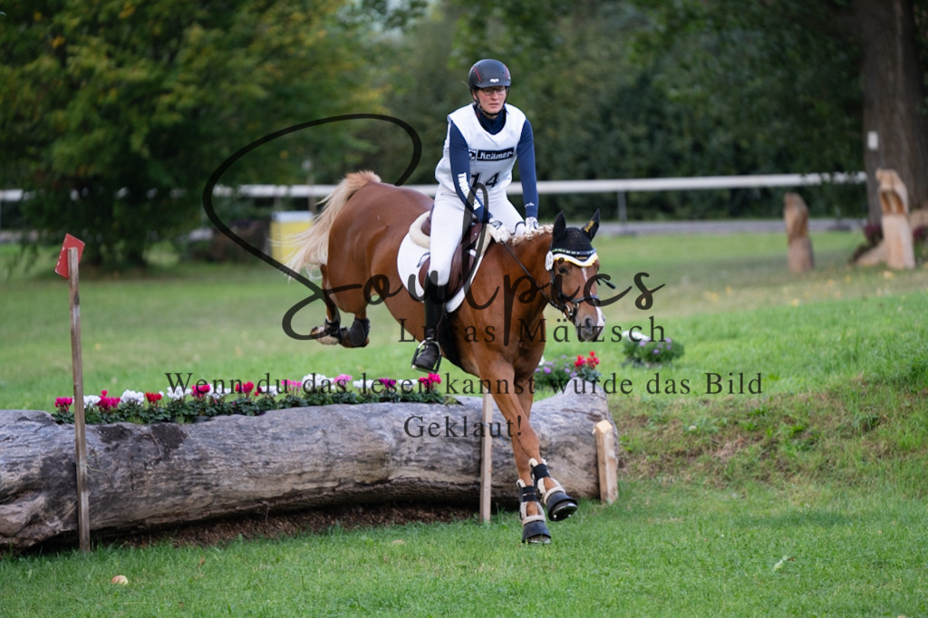 A7V02990 | Turnier/Reitfotograf