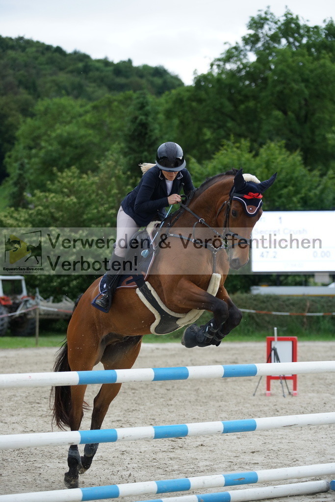 DSC07246 | equestrian-live-com