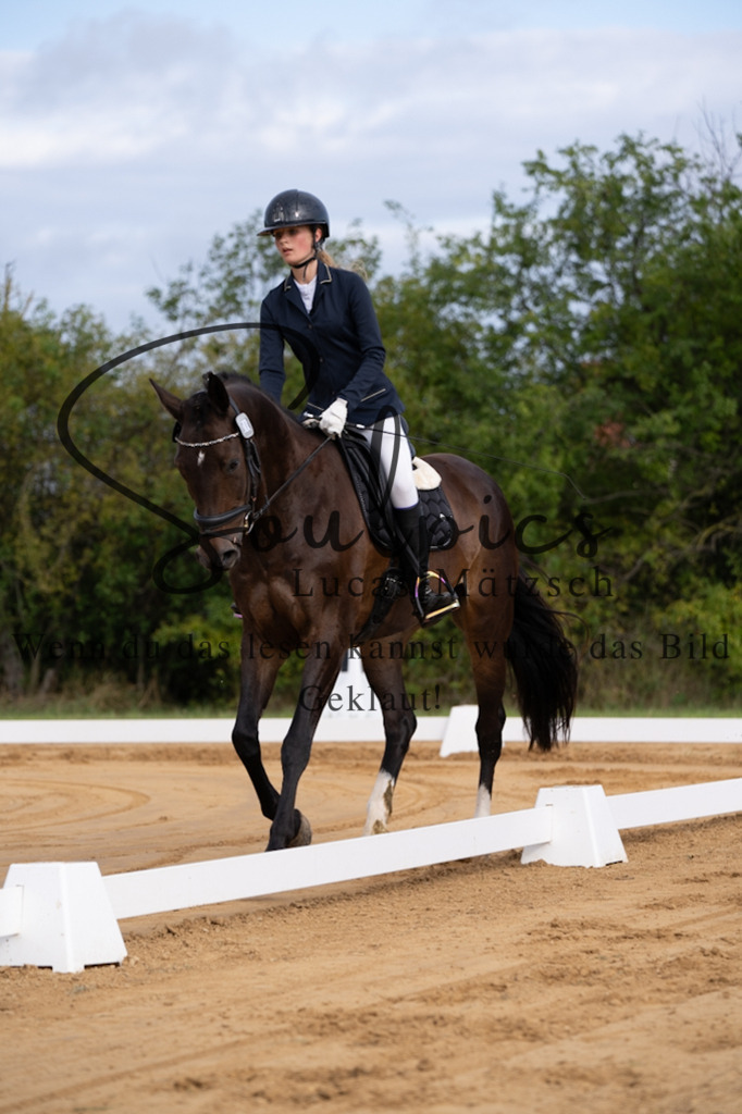 A7V05072 | Pferdefotograf