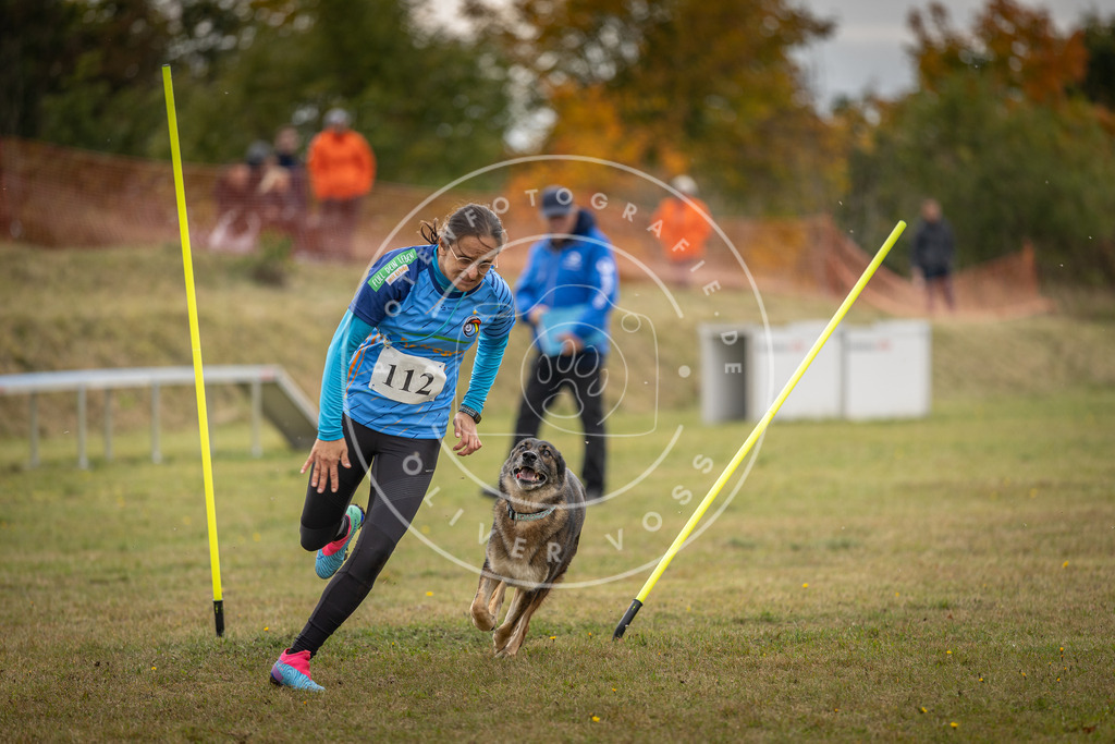 Pfotenfotografie_DV3A6842 | Hundefotografie, Tierfotograf, Pfotenfotografie, Fotoshooting Hund, Hunde Portrait, Hundesport, Hundeportraits, Heideshooting, Hunde, Sportfotograf, Hundefotograf, Turnierhundsport, THS,  - Realisiert mit Pictrs.com