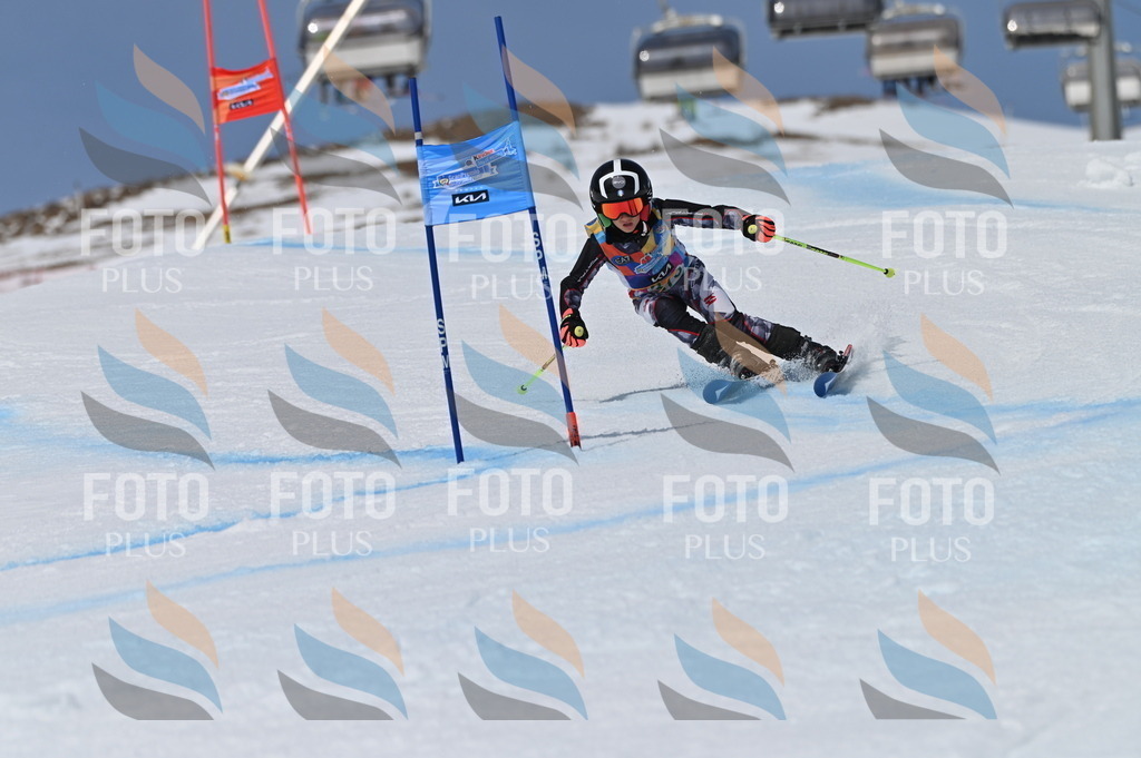 BGV_7369 | holidayphoto