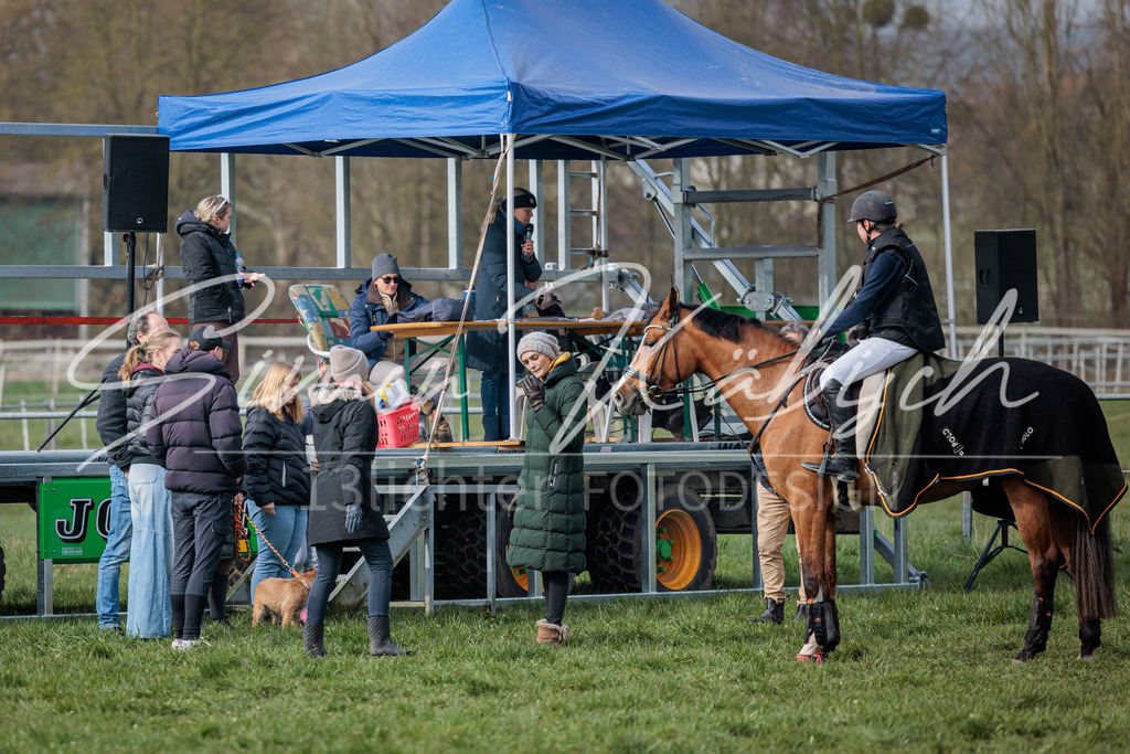 20260329-_3LI3587 | Tierfotografie Pferde, Hunde, Katzen, Haustiere.
Turnierfotografie Reitturniere, Reiten, Springreiten, Dressur in Hanau, dem Main-Kinzig-Kreis und dem Rhein-Main- Gebiet um Frankfurt