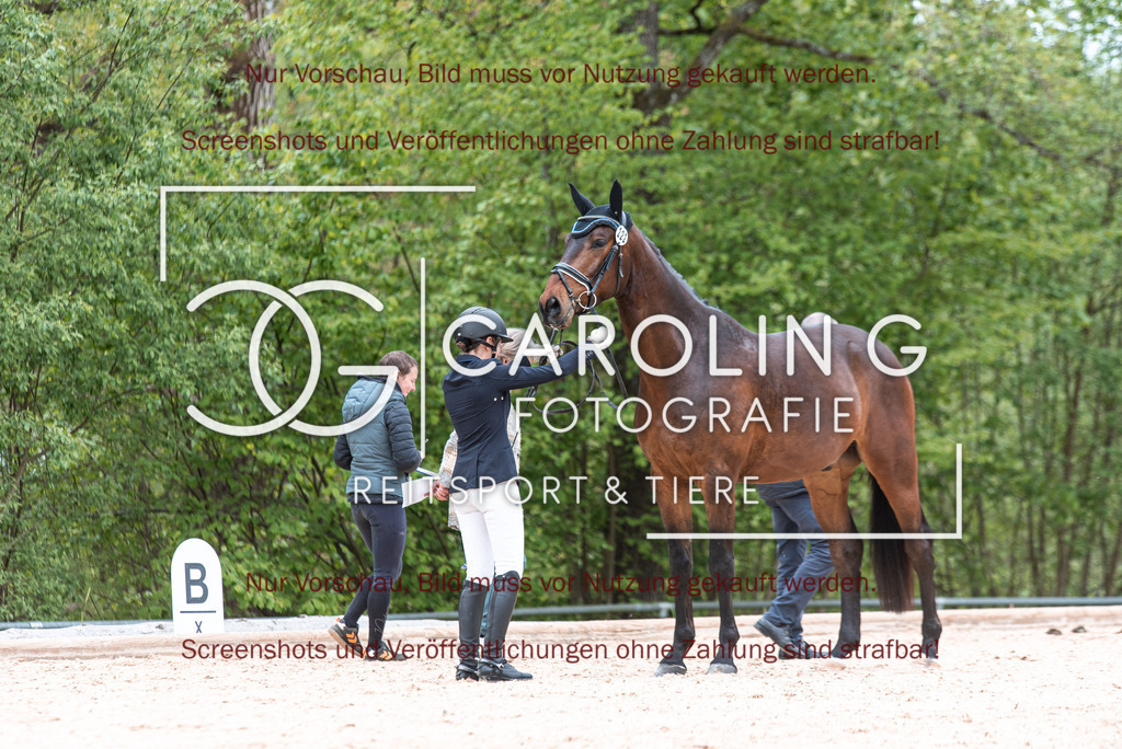 DSC_6919 | Turnierfotografin Carolin Gieschke,Reitsport Turnierfotografie Carolin G Fotografie | Turnierfotos aus Kirchheim/Teck, Esslingen, Stuttgart und dem Bodenseekreis