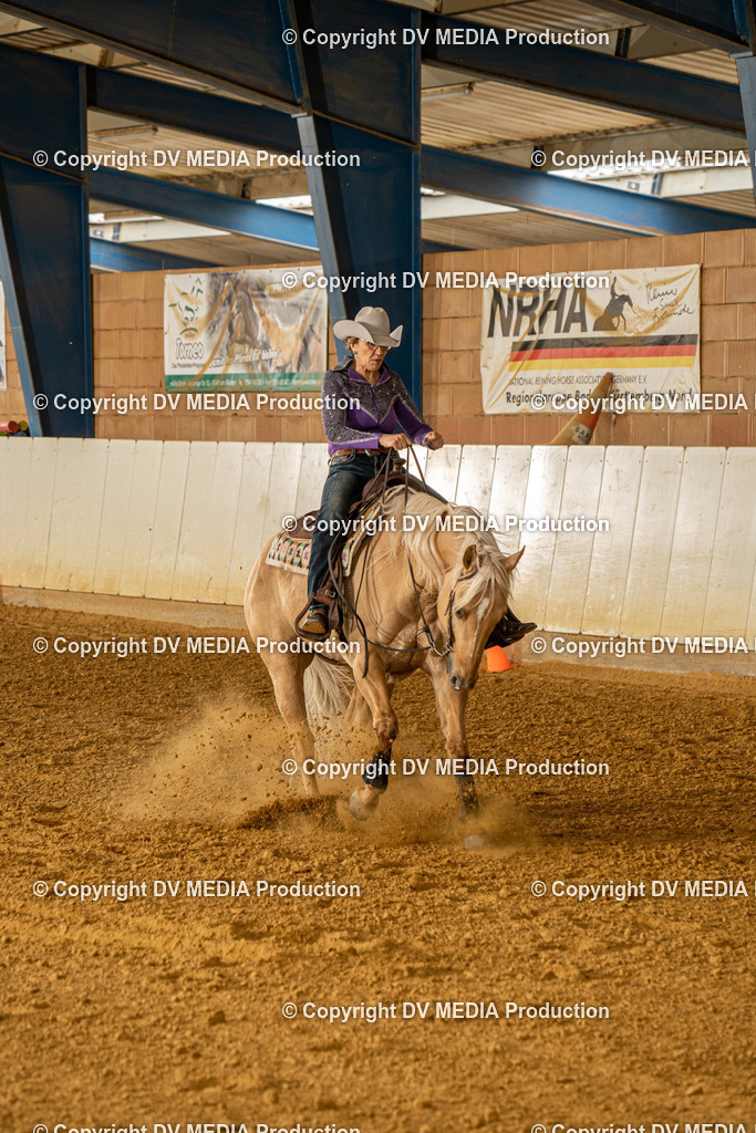 MIT01359 | dv-media-shop - Realisiert mit Pictrs.com