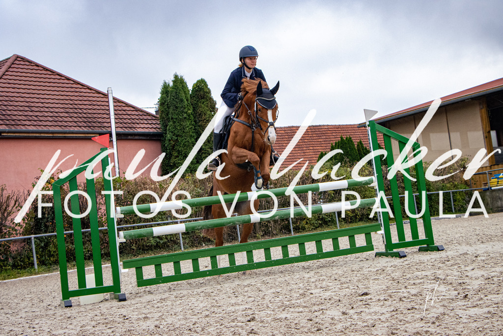 IMG_3996 | Erleben Sie dynamische Sport- und emotionale Tierfotografie in Süddeutschland mit Fotos von Paula. Spezialisiert auf Pferde- und Hundefotografie sowie Sportevents. Kontaktieren Sie mich für einzigartige und ausdrucksstarke Bilder Ihrer besonderen Momente. - Realisiert mit Pictrs.com