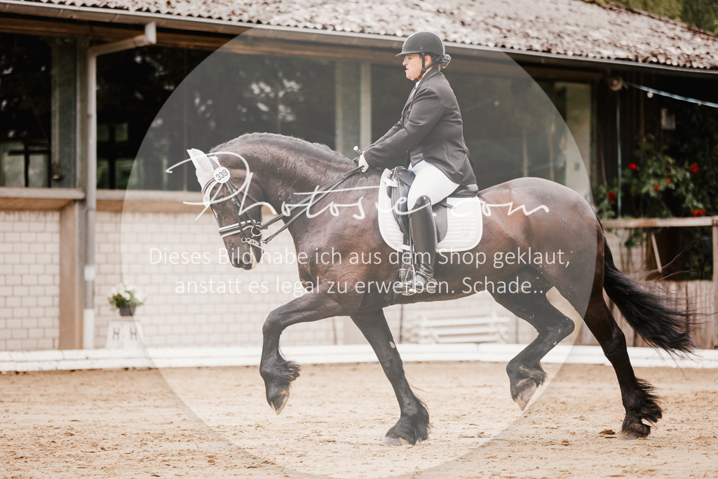 3I6A7760 | Stimmungsvolle Portraits und Reitsportfotografie im Ruhrgebiet und im Münsterland.

Pferdefotografie, Hundefotografie, Tierfotografie, Reportagen, Portraits von Tier und Mensch, Turnierfotografie in Bochum, Recklinghausen, Marl, Haltern am See, Dülmen.. - Realisiert mit Pictrs.com