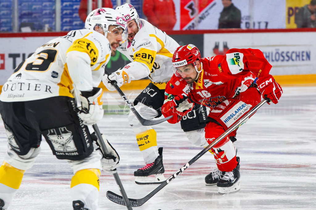 EHCB vs HCA 20260127_wb-9156 | Sportbilder, Sportfotograf, Hochzeits- und Eventfotografin, Flugshows, Portraits und Tiershooting, Aviation, Downhill, Nationalleague, Swissleague, International
