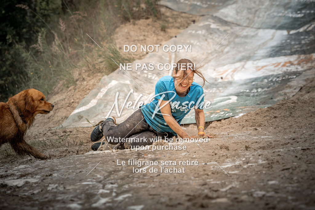 nelerasche_sa1230-1300_297 | nelerasche