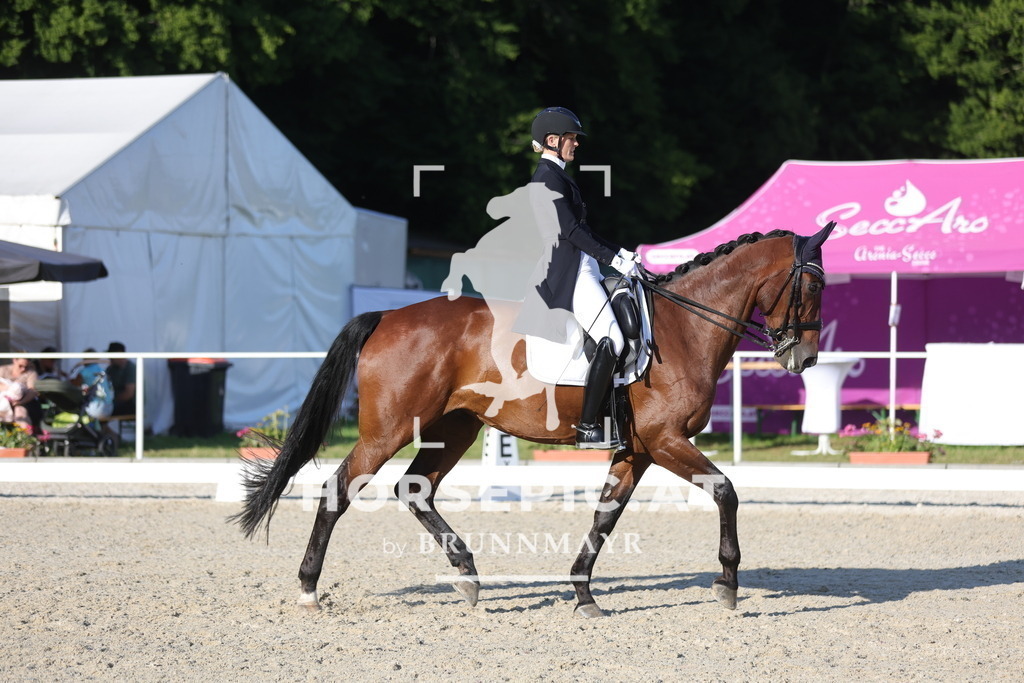 0P6A3098 | Willkommen bei Brunnmayr - Design & Fotografie – Ihrem Spezialisten für Reitturniere und Pferdeveranstaltungen in Oberösterreich, Salzburg und Bayern! Seit über 17 Jahren sind wir leidenschaftlich dabei.