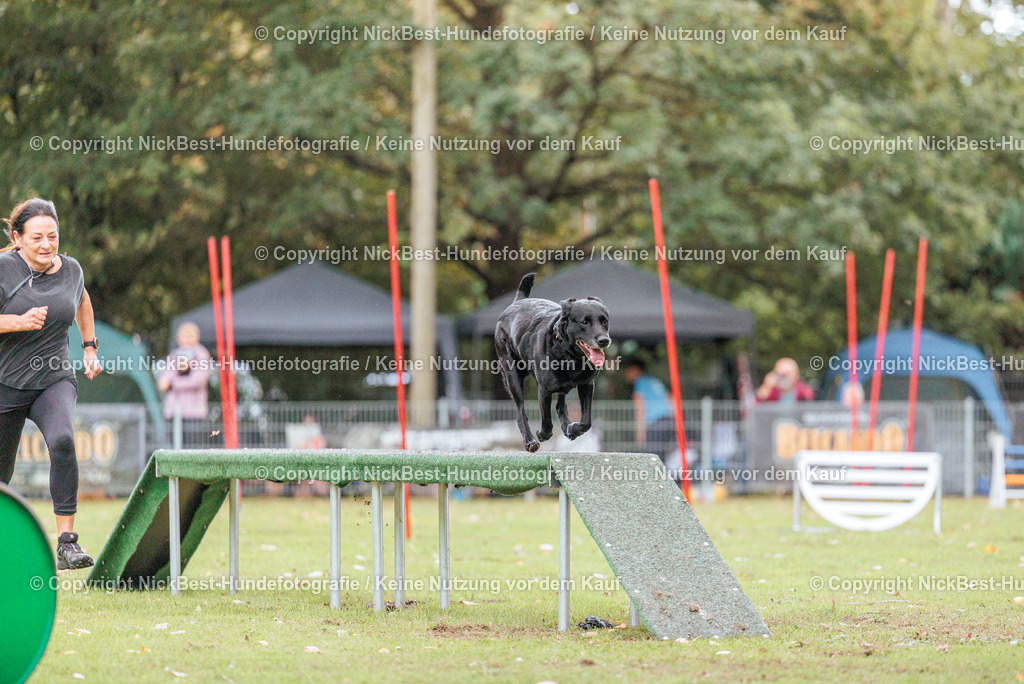 THS-HSV-Blumenthal-2026-Nickbest-Hundefotografie-4063 | Dein Hund! Dein Moment! Deine Erinnerungen! Hundefotografie in Bremen Blumenthal. Ich fange die besonderen Momente deines Vierbeiners ein – ob Indoor mit Blitzanlage oder in der freien Natur. Sicher dir dein Moment und dein Termin für eure Erinnerungen.