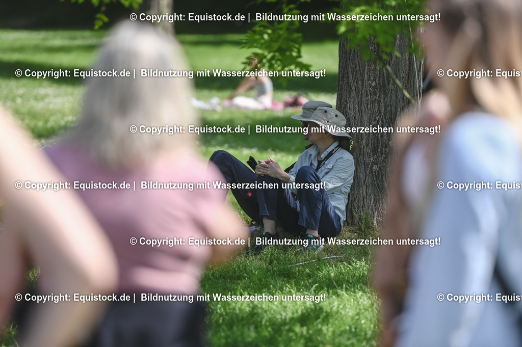 D78_2907 | equistock