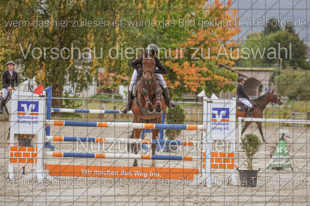 2025-09-22_11-32-38_MG_0248 | TE-Fotos