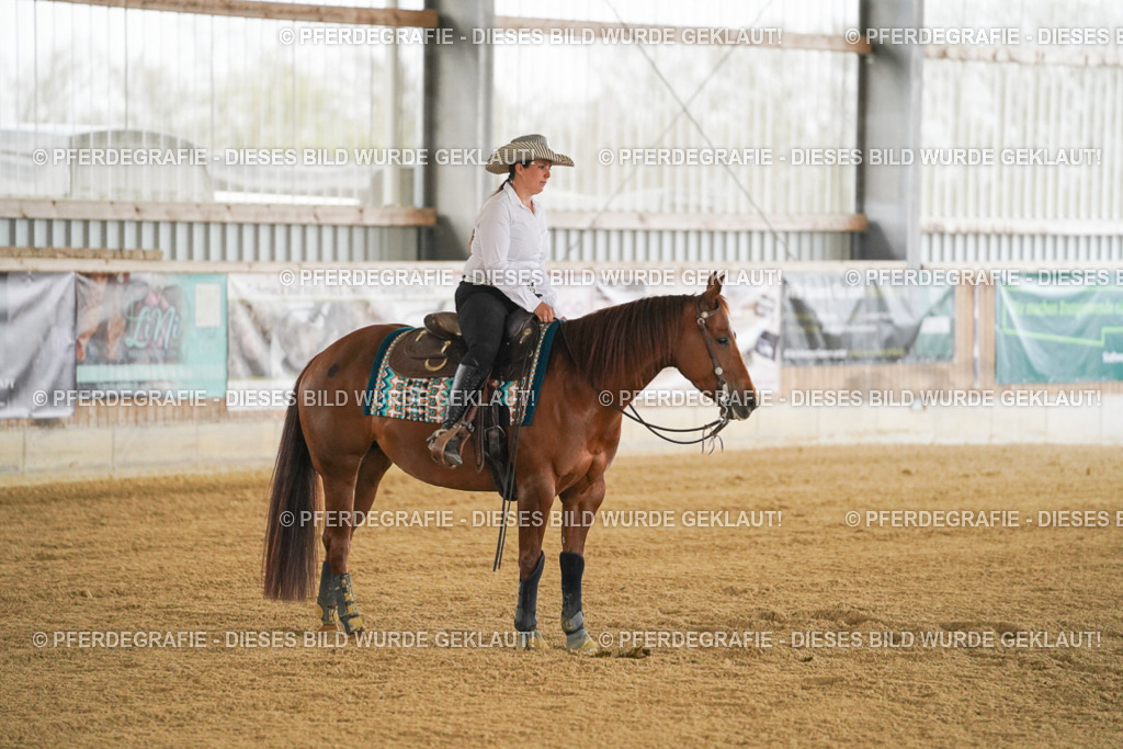 DSC07813 | Pferdegrafie