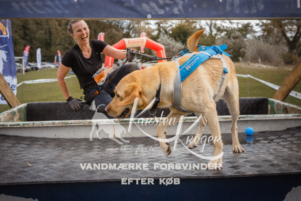 1333_ZZ91281-2 | kk-dogfotos