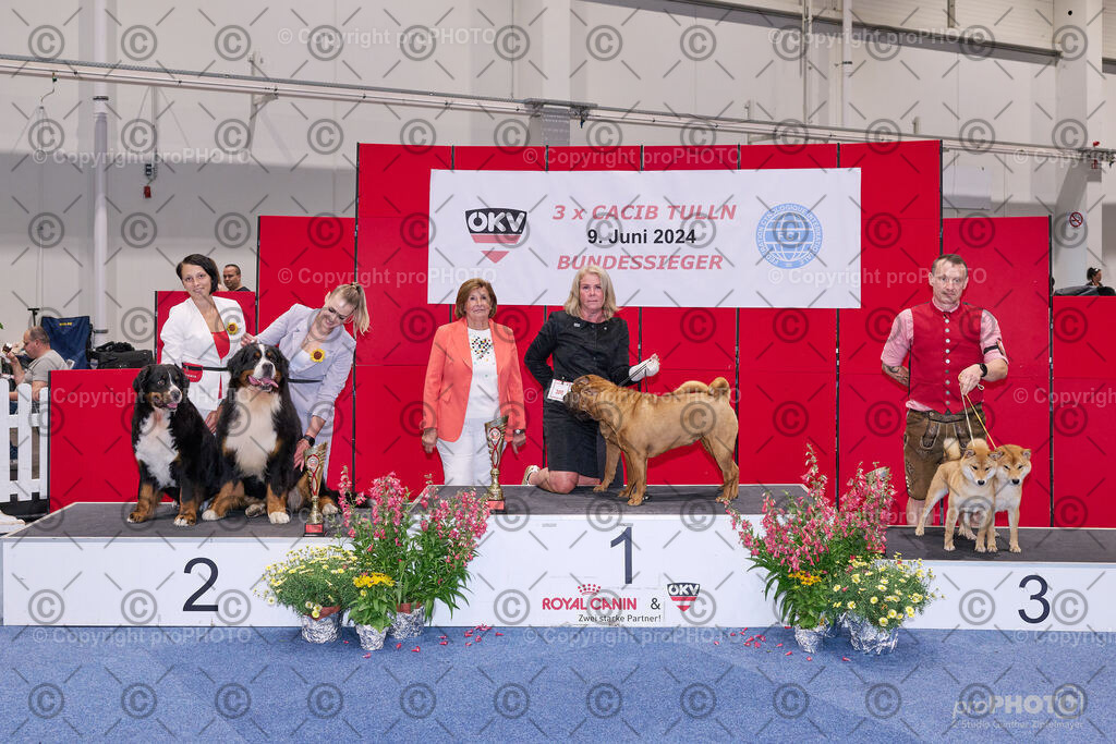 202406_ÖKV-IHA-Tulln24_NZ9_9479 | proPHOTO - Realisiert mit Pictrs.com