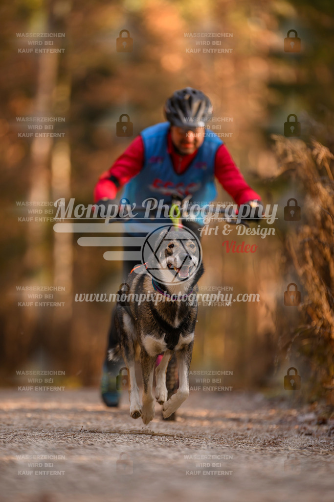 MompixPhotography_DM_AKDM_SO_2025_Scooter-215 | PayLife