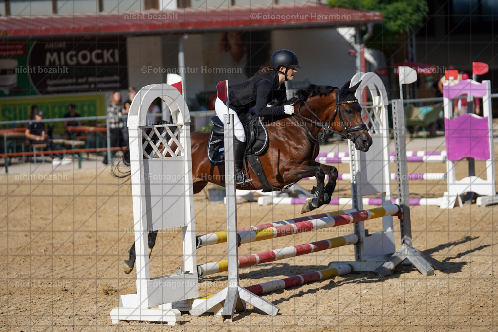 20240824-FAH07260 | Thierhaupten 2024, Bayerisches Landesponyturnier, Turnierbilder, Ponybilder, Turnierfotografen Bayern, Fotoagentur Herrmann