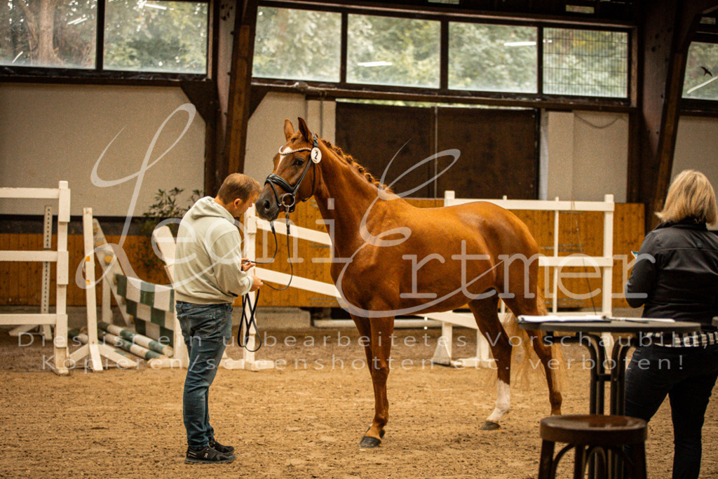 1FS_L00062 | Leoni Ertmer Photography - Realisiert mit Pictrs.com