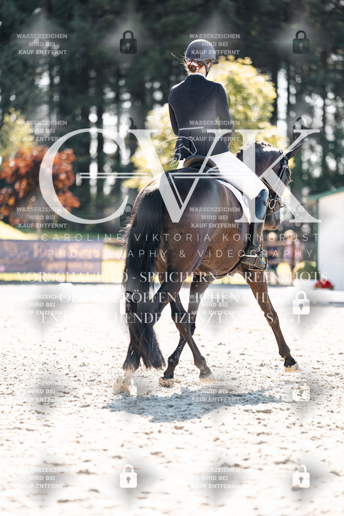 CK905542 | Turnierfotografie Pferdefotografie Trier Rheinland-Pfalz Pferdesport Reitsport Tierfotografie Sportfotografie Pferdevideo Pferdevideografie Equestrianvideography equestrianphotography  - Realisiert mit Pictrs.com