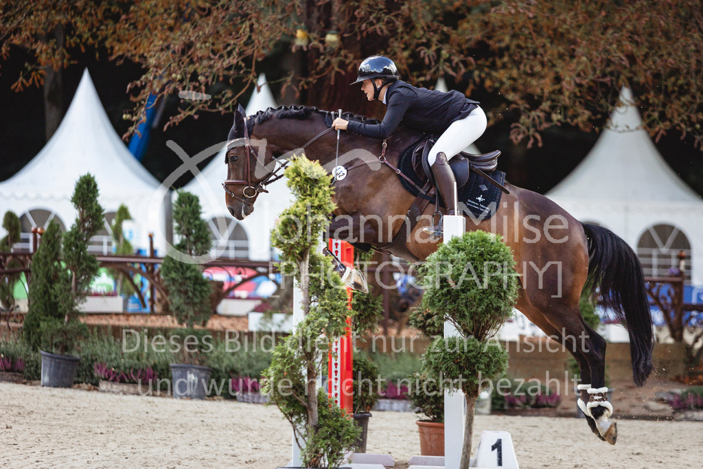 240912_OWLCh_AmateurS-289 | Deine schönsten Turniermomente als professionelle Fotos! Entdecke hochwertige Pferdesport-Fotografie im Online-Shop. Jetzt Fotos finden & bestellen!